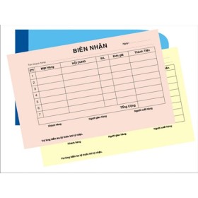 Báo biểu 1/3 A4, 100trang (1-5 liên)