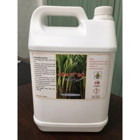 Cồn sinh học Bio Ethanol 5L